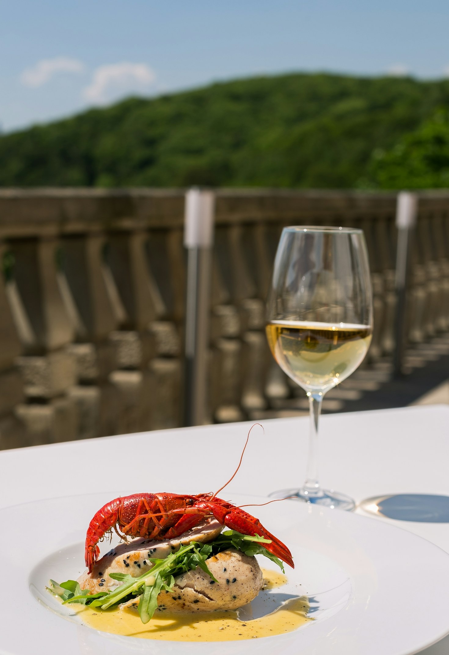 Viaggio sensoriale nelle cantine del territorio